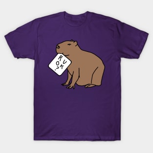 Are you Ok Capybara Wants to Know R U OK T-Shirt